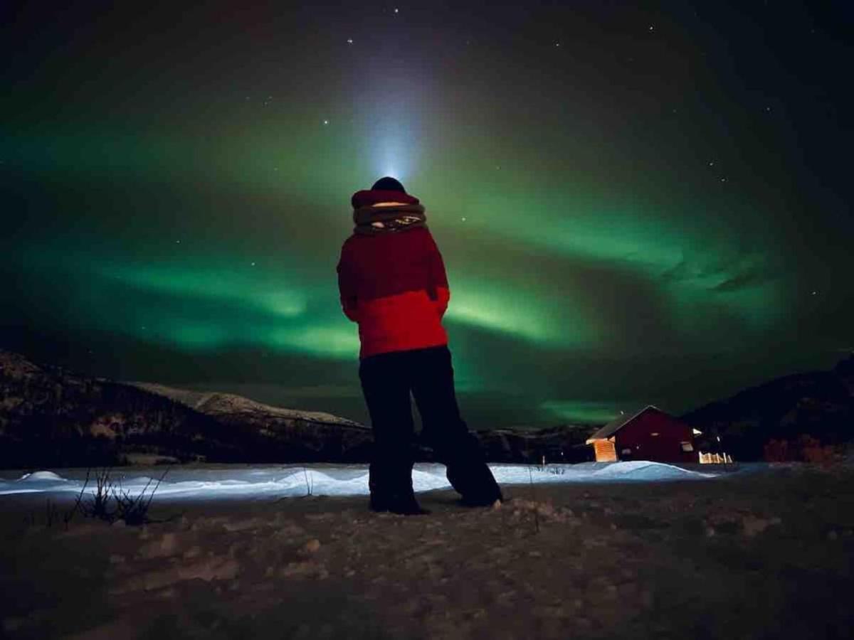 Storjord Farmstay Glamping Tromsø Exterior foto